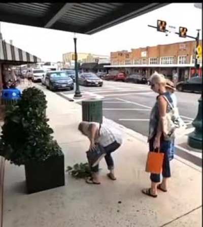 What in the tarnation!