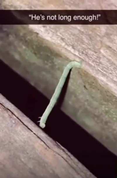 He’s gonna make the gap!