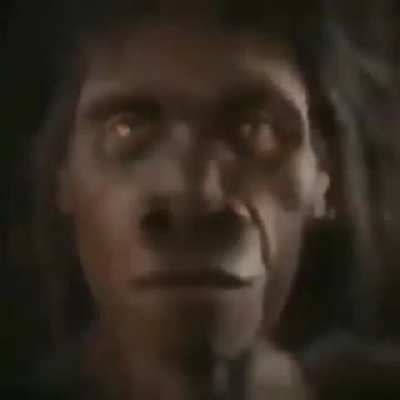 Monke