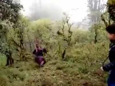 HMF while this doesn’t end well..