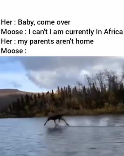 Jesus christ