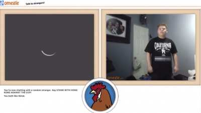 (SomethingAboutChickens yt)