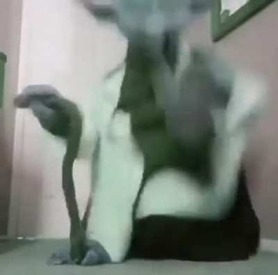 Dance, I must. Happy, I am.