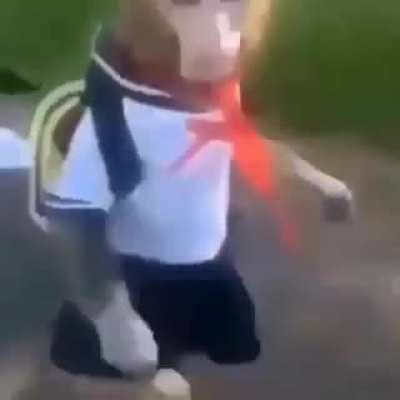 hentai monk