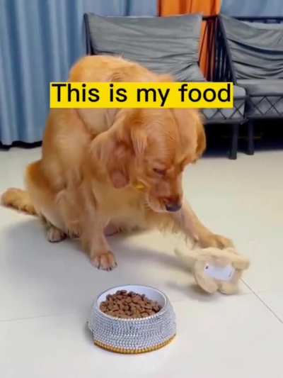 Bamboozled