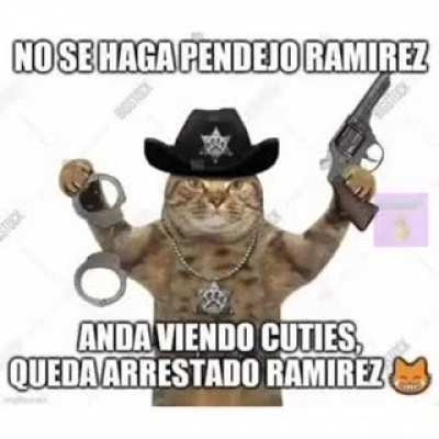 No se haga pendejo Ram&iacute;rez