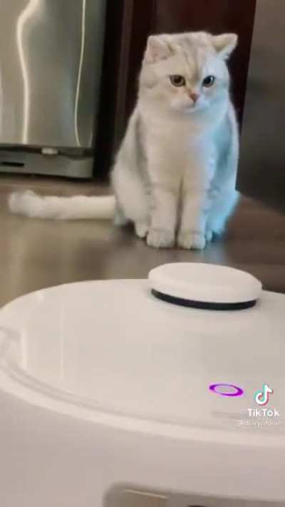 Vacuum