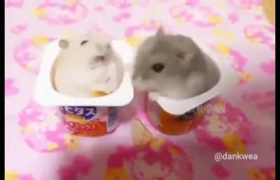 Isso que acontece quando voc&ecirc; rouba a comida do amiguinho
