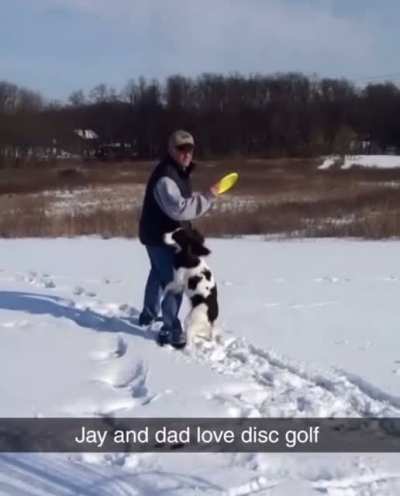 My Dad&rsquo;s dog LOVES disc golf