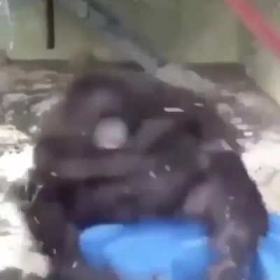 😭