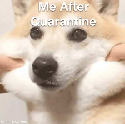 It&rsquo;s the Sad Truth