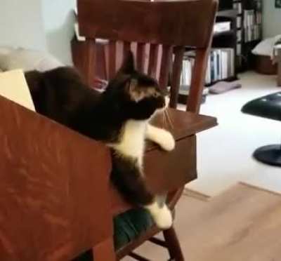 Kitty sign language for &ldquo;NEED&rdquo;