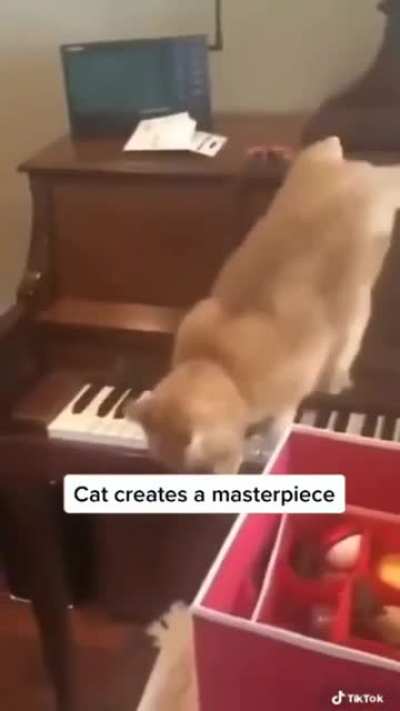Кот креативщик