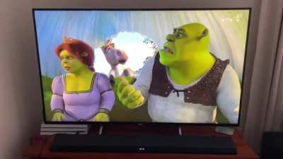 Shrek 2 was on TV. Couldn&rsquo;t let this one go to waste, it&rsquo;s a classic