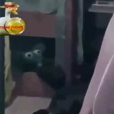 Que isso eu filho calma