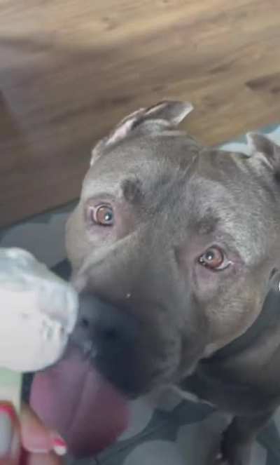 be aware of dogs!!!