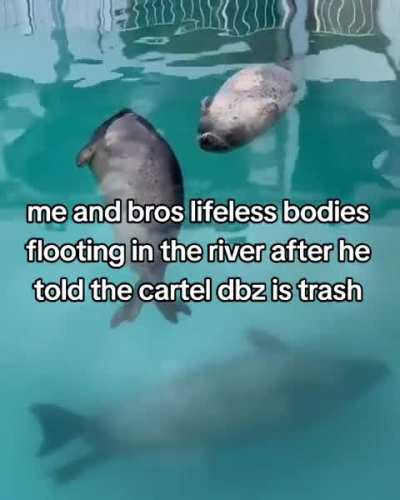 Fard seal 