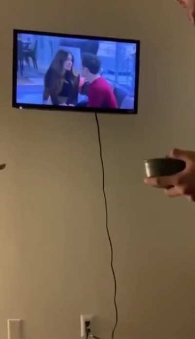 To put the broken TV out of its misery