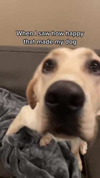 Maybe maybe maybe