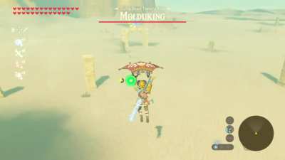 Well...that&rsquo;s one way to get a Korok seed.