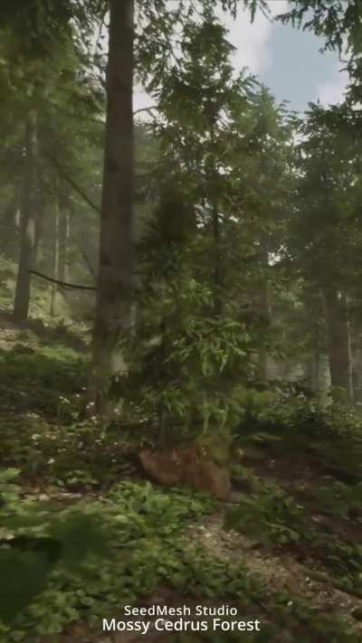 Forest using APV