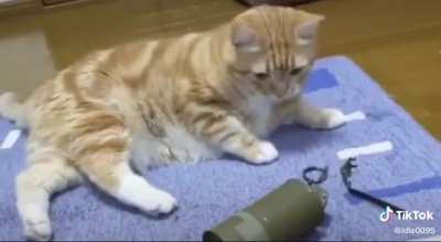 GATO