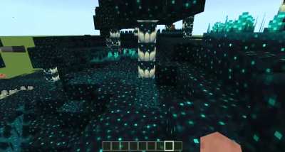 A custom biome I made themed around the sculk block for the 1.19 update [Bedrock]