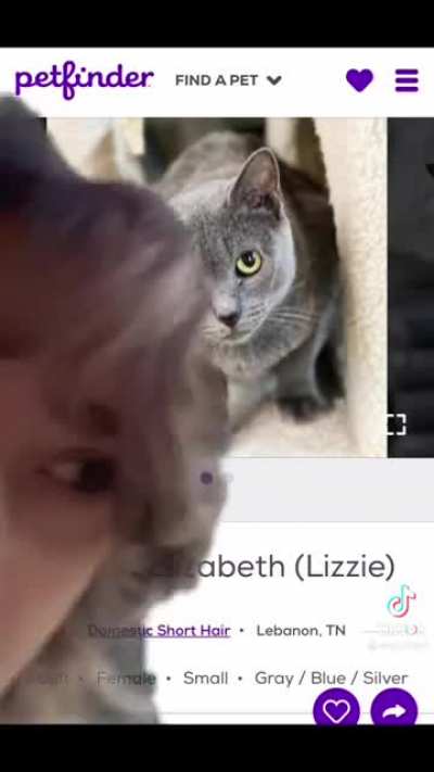 Reading weird cat names
