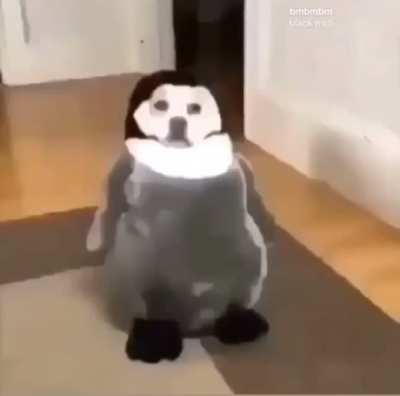 no tittle needed