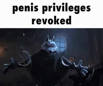 enters twitter