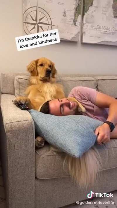 Why does the dog look like he has a 9-5 job