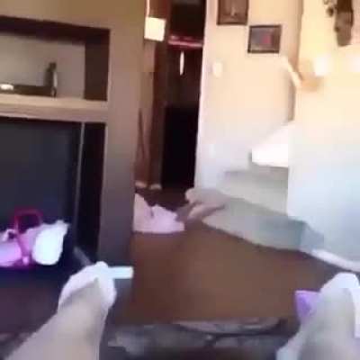 Risk was calculated