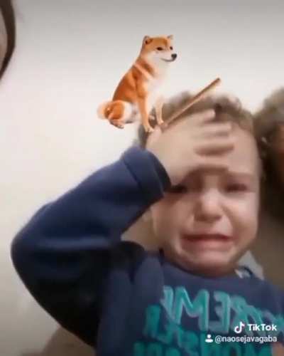 o chat quando o Cellbit bate na c&acirc;mera