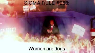 Donald Trump Sigma Male Grindset