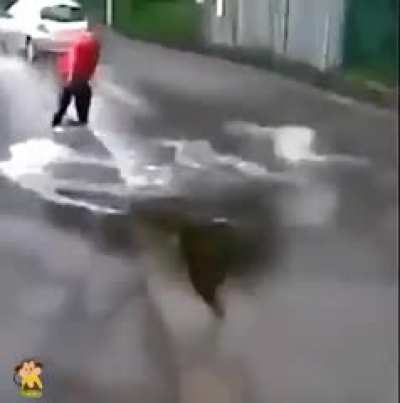 Totally Expected You&rsquo;d Think