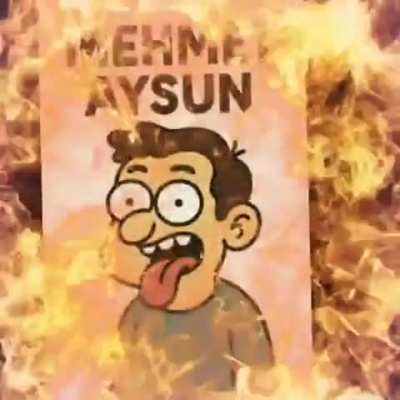 mehmet aysun