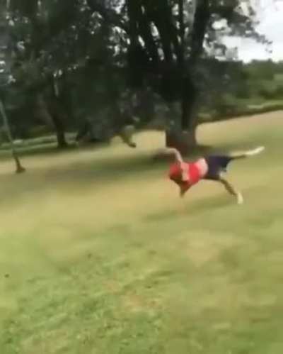 hops