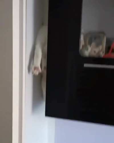 the easy way down
