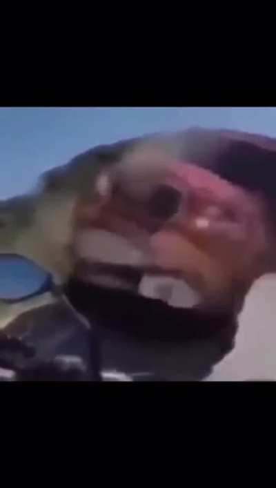 casi 😰