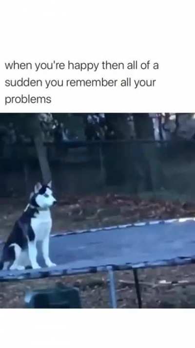 me_irl