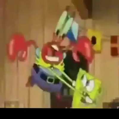 Macaco enfadao