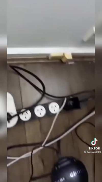 Tomwad has TikTok