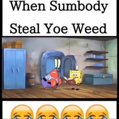 no weed?