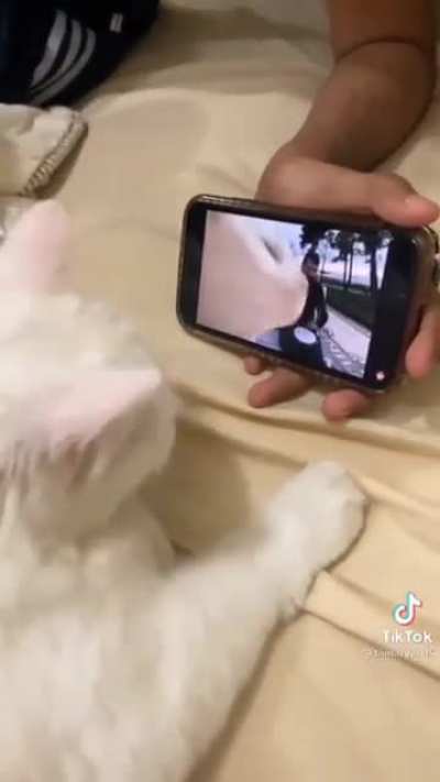 LOOK FELIX