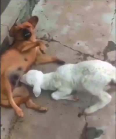 Maybe maybe maybe
