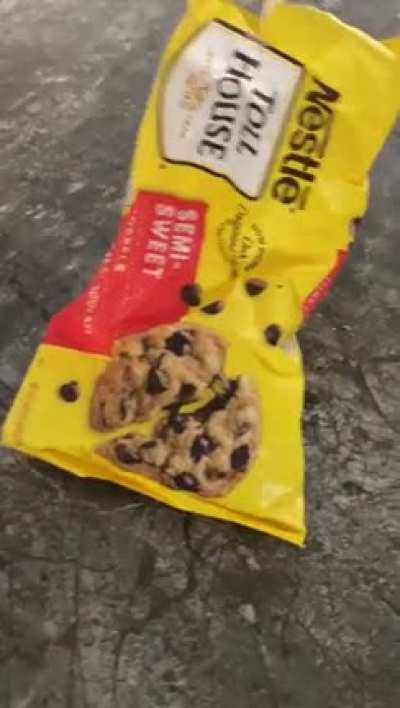 Chocolate-