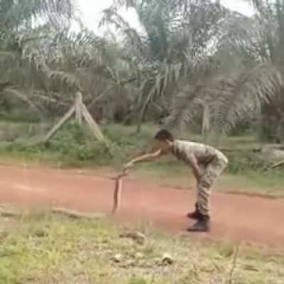 least braver Malaysian