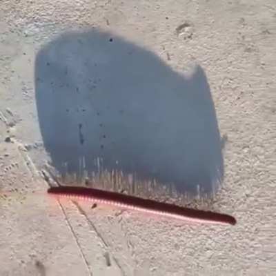 That’s a nope.