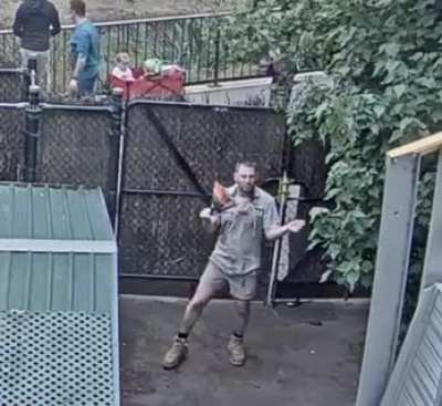 Livestream at Melbourne Zoo.