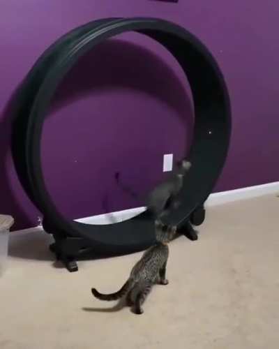 Almost catch it!